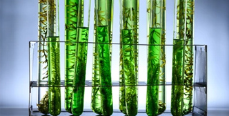 Application of Bioreactor Vergister in Biobrandstoffen en hernieuwbare energie